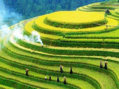 MÙ CANG CHẢI VẺ ĐẸP HUYỀN BÍ VÙNG TÂY BẮC VIỆT NAM