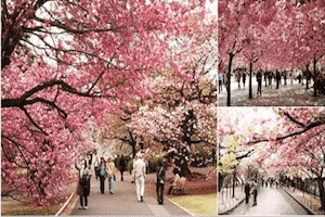 Háo hức chờ đón 