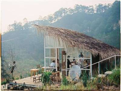 The Wilder Nest Đà Lạt làm đốn tin biết bao du khách