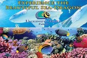 Khám phá thế giới nước đầy huyền bí ở Underwater World.