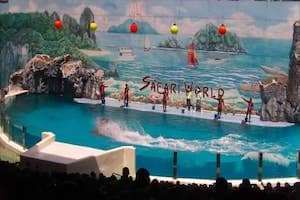 Vườn thú mở tự nhiên lớn nhất Châu Á - Safari world 