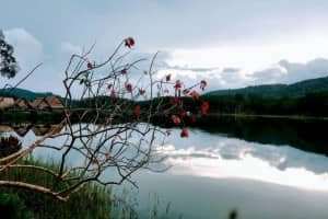 Sống ảo tẹt ga tại phim trường Happy Hill Đà Lạt