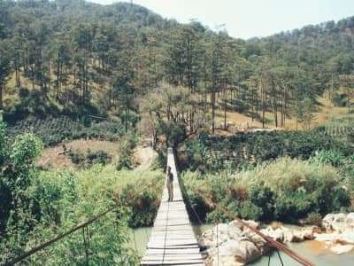 Cầu treo gỗ Đà Lạt tưởng chừng chỉ có trong phim