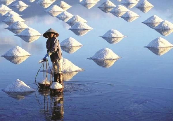 MỘT NGÀY TRẢI NGHIỆM NHA TRANG - PHAN RANG