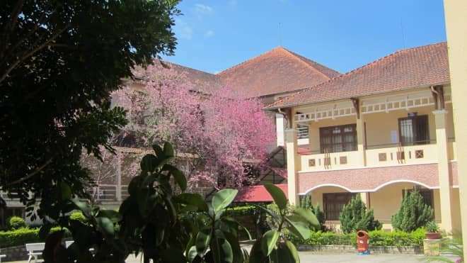Cận cảnh ng&ocirc;i trường l&atilde;ng mạn nhất Việt Nam