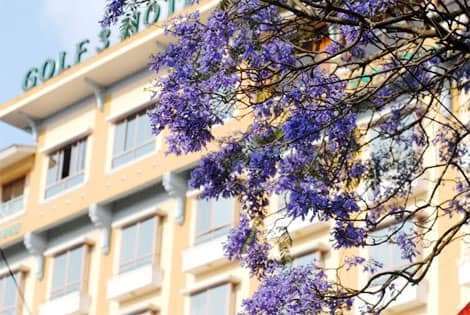 dalat canyon tour