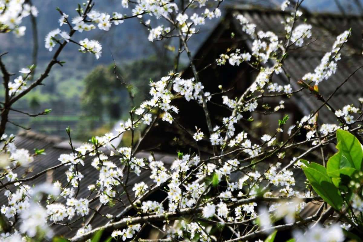 dalat canyon tour