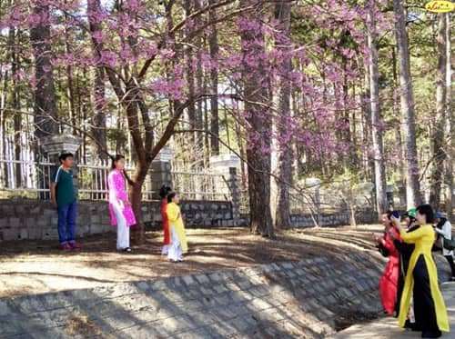 dalat canyon tour