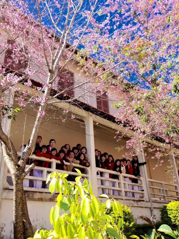 Cận cảnh ng&ocirc;i trường l&atilde;ng mạn nhất Việt Nam
