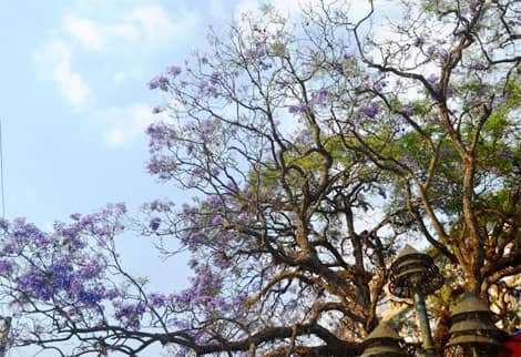 dalat canyon tour