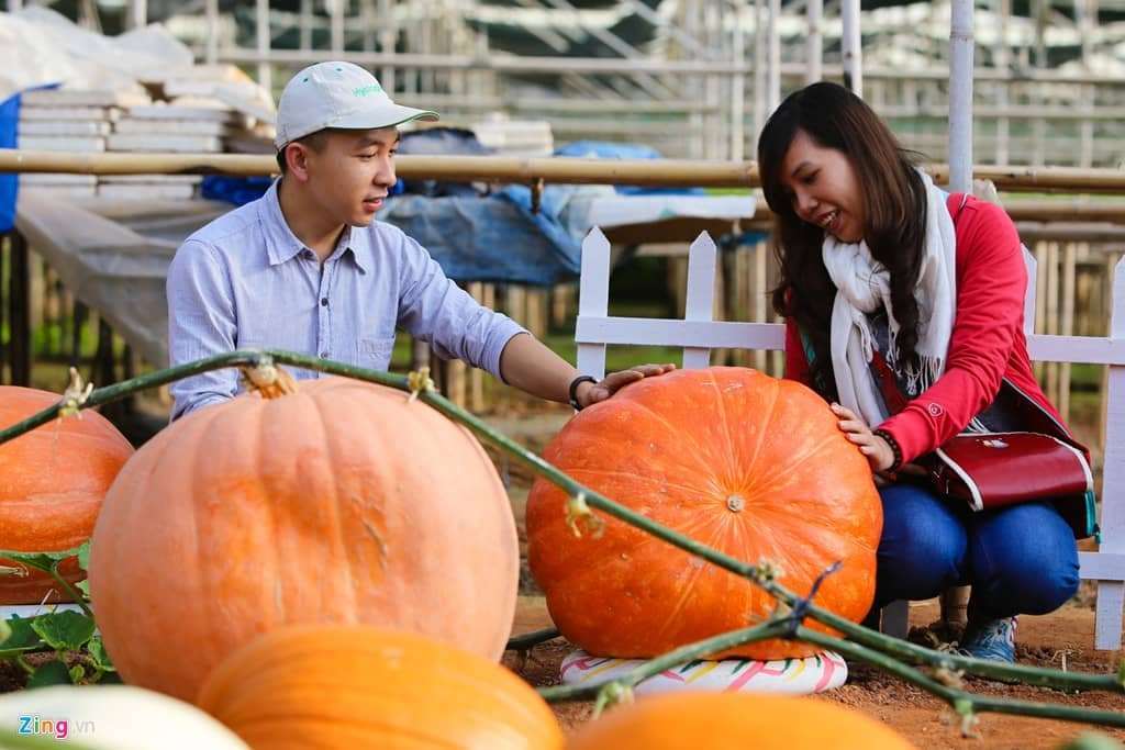 b&iacute; ng&ocirc; Đ&agrave; Lạt