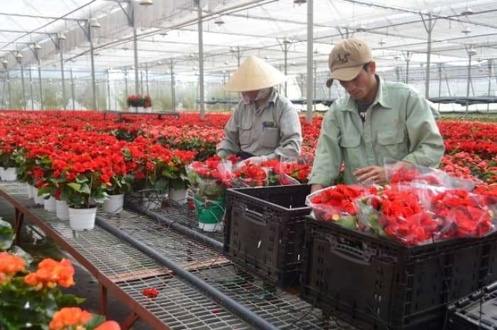 vẻ đẹp Đ&agrave; Lạt