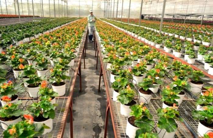 vẻ đẹp Đ&agrave; Lạt