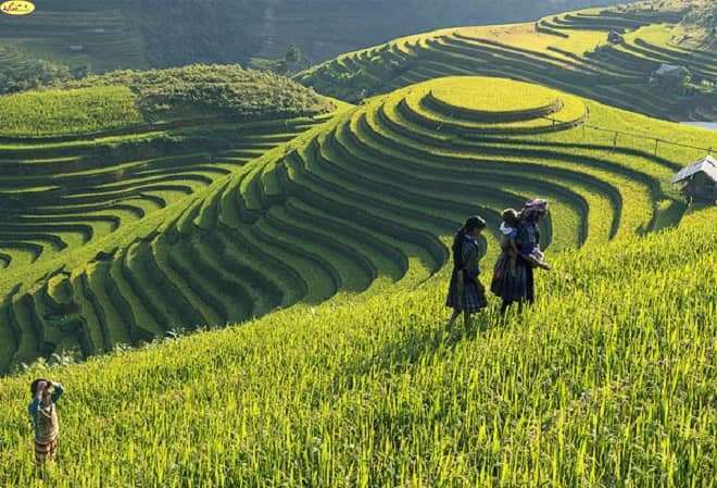 5 địa danh đẹp bước ra từ những trang thơ văn Việt Nam