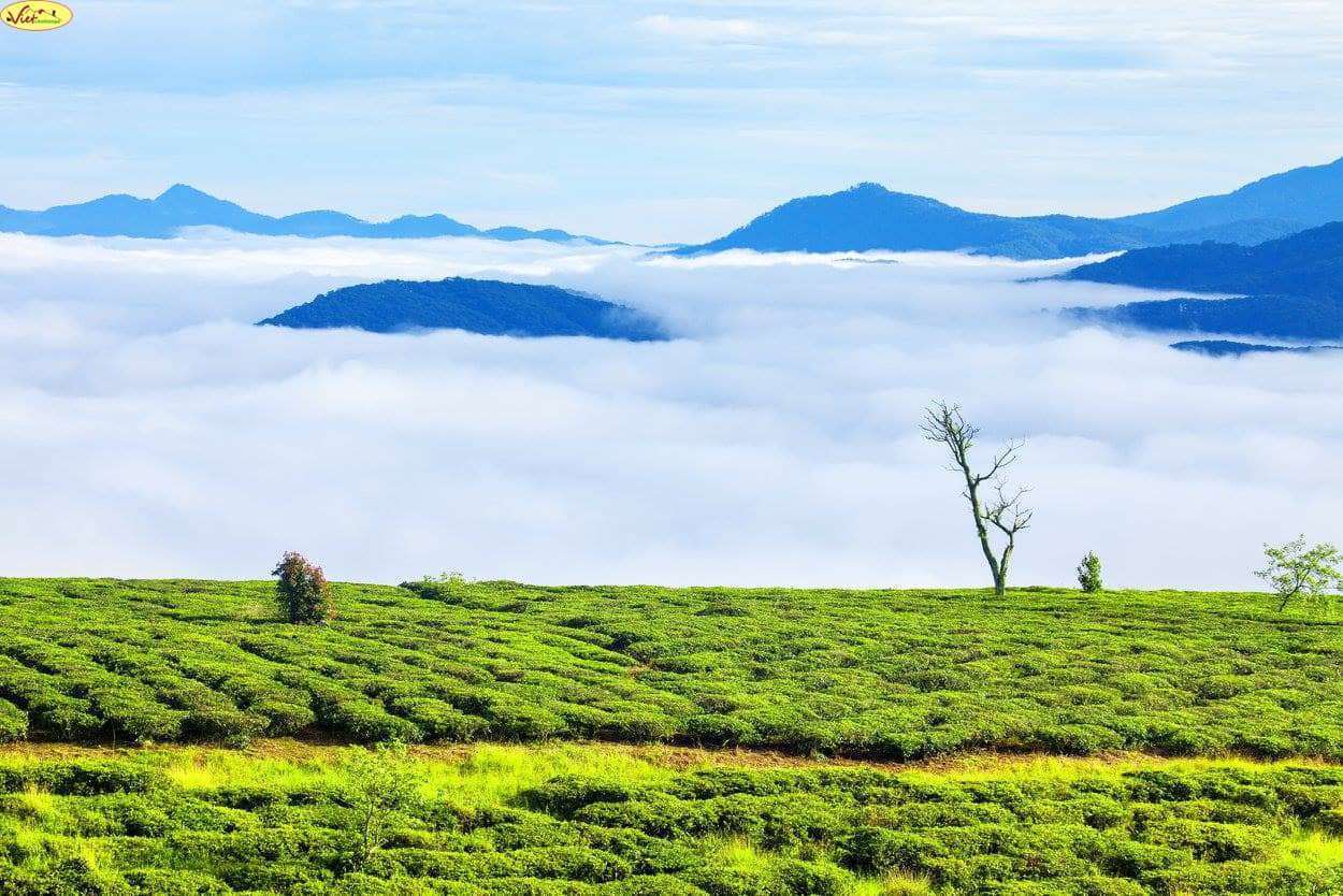 dalat canyon tour