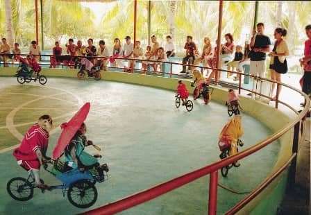 Những h&ograve;n đảo khỉ kh&ocirc;ng thể bỏ qua khi đi du lịch năm Th&acirc;n