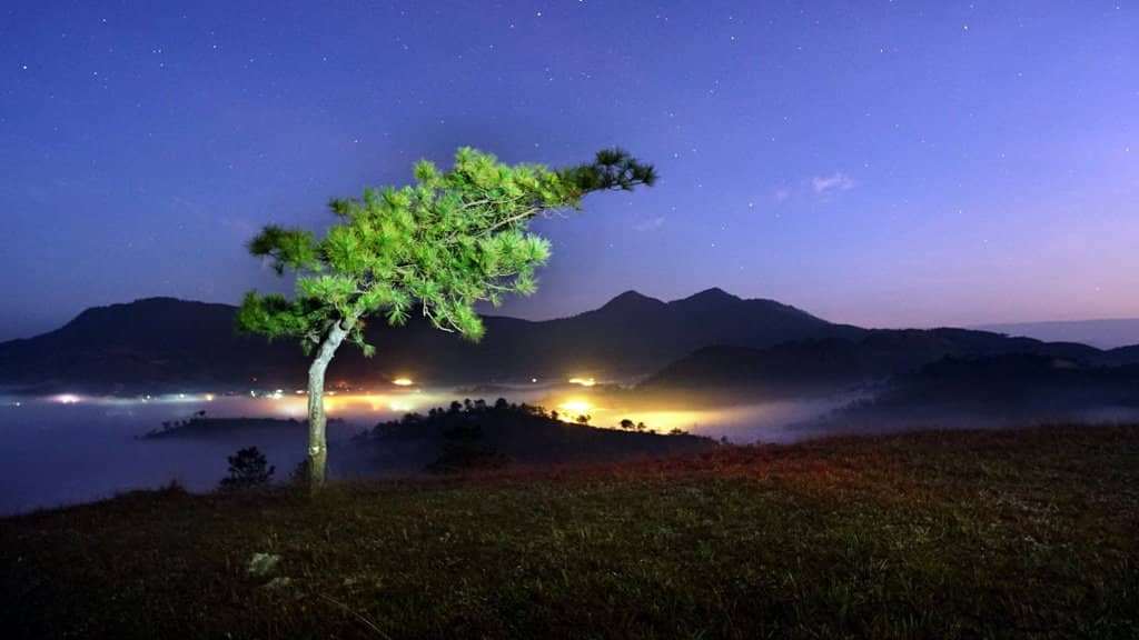 Ngất ng&acirc;y tr&ecirc;n đỉnh đồi Thi&ecirc;n Ph&uacute;c Đức