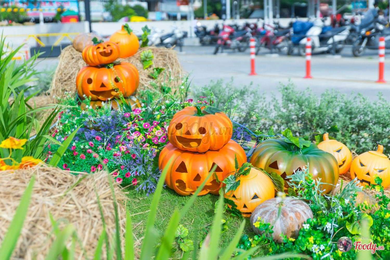đu dây vượt thác tại đà lạt đu dây vượt thác tại đà lạt