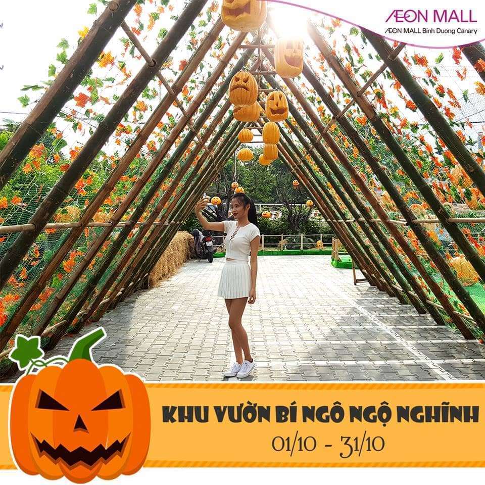 đu dây vượt thác tại đà lạt đu dây vượt thác tại đà lạt