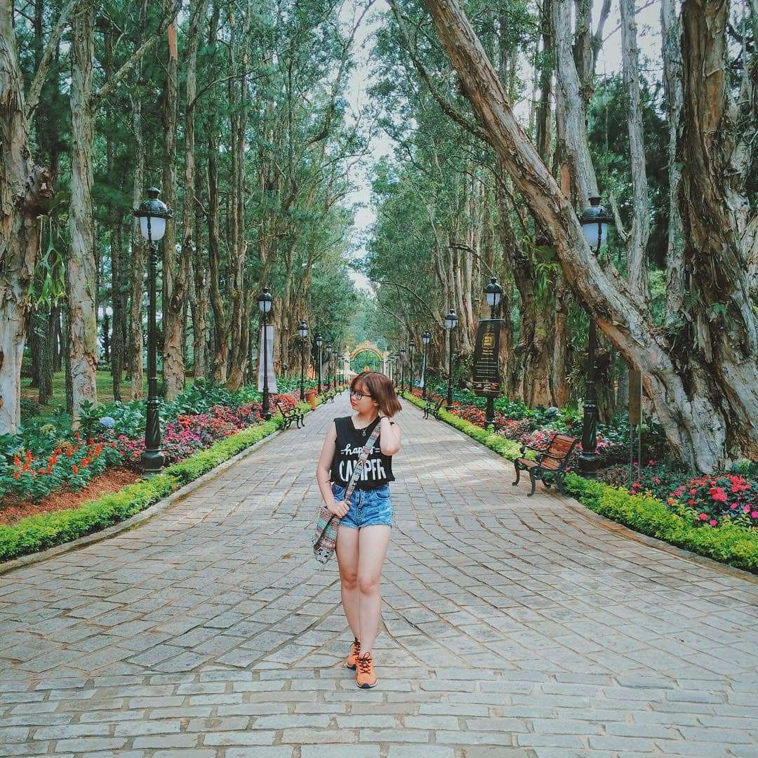 đu dây vượt thác tại Đà Lạt đu dây vượt thác tại Đà Lạt