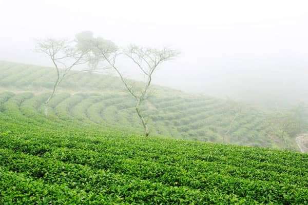 đu d&acirc;y vượt th&aacute;c tại Đ&agrave; Lạt