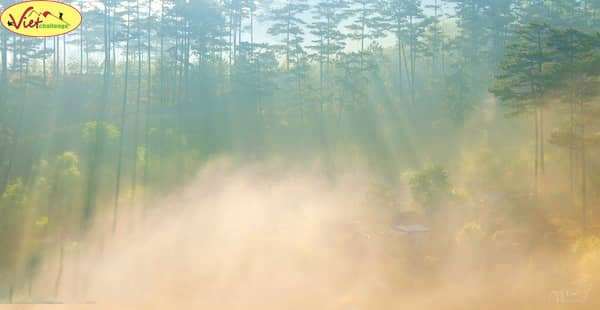 du lịch Đ&agrave; Lạt