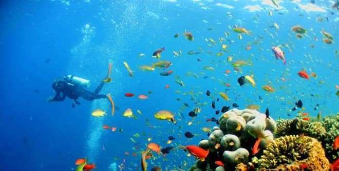 ch&egrave;o thuyền kayak tại Đ&agrave; Lạt