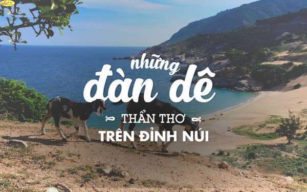 dalat rafting