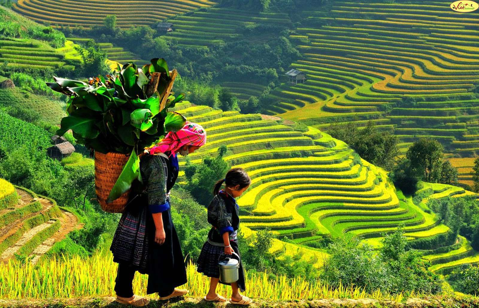 xe đạp địa h&igrave;nh Đ&agrave; Lạt
