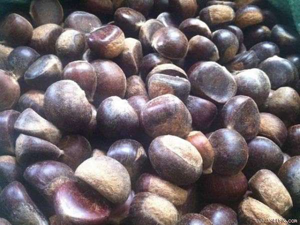 du lịch Đ&agrave; Lạt
