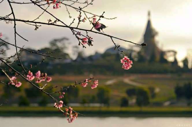 xe đạp địa h&igrave;nh ở Đ&agrave; Lạt