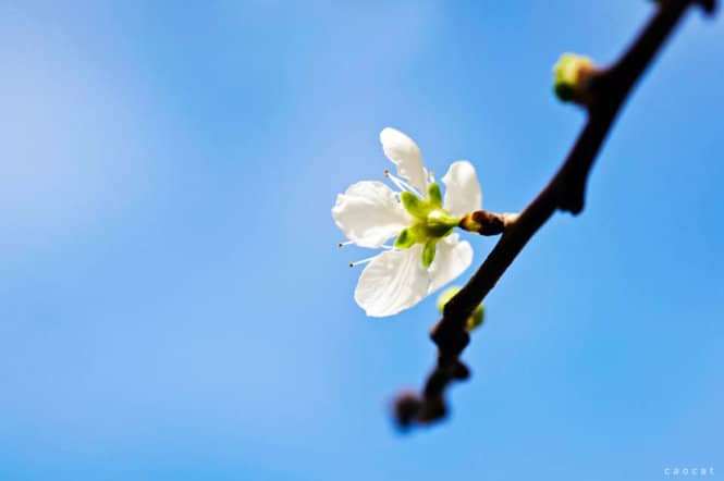 xe đạp địa h&igrave;nh ở Đ&agrave; Lạt