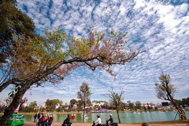 xe đạp địa h&igrave;nh ở Đ&agrave; Lạt