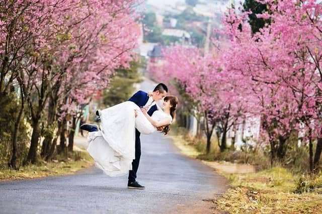 du lịch đ&agrave; lạt