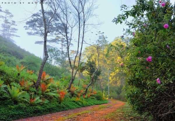 Dalat canyon tour