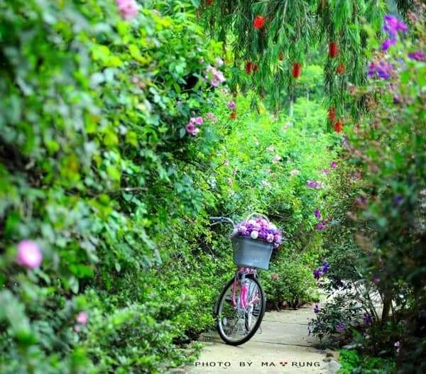 Dalat canyon tour