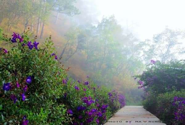 Dalat canyon tour