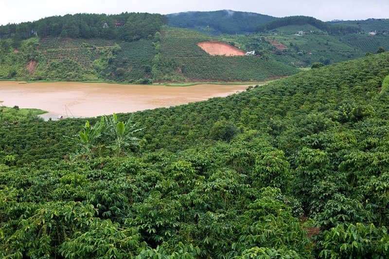 đu d&acirc;y vượt th&aacute;c