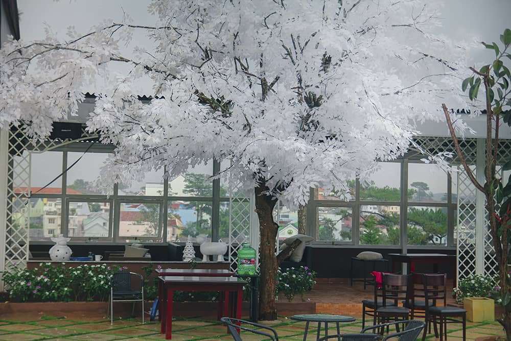 ch&egrave;o thuyền vượt ghềnh th&aacute;c tại Đ&agrave; Lạt