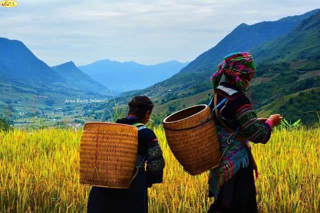 top 10 điểm du lịch khi c&ograve;n độc th&acirc;n