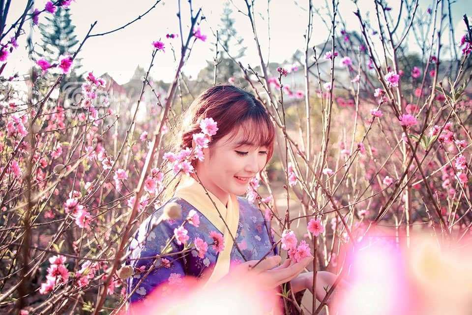 Thung lũng Đ&agrave;o hoa Mười Lời